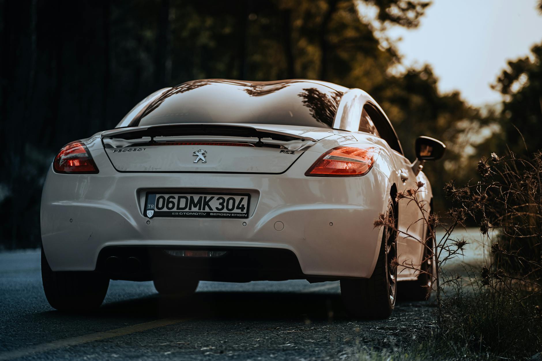 Kaiser Manufacturing Company