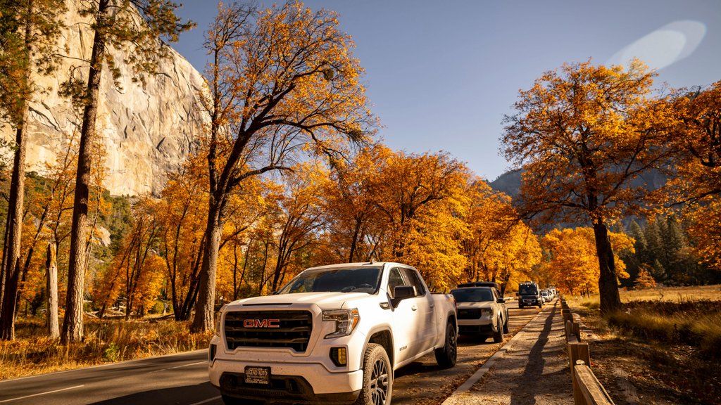 Photo by Stephen Leonardi on Pexels