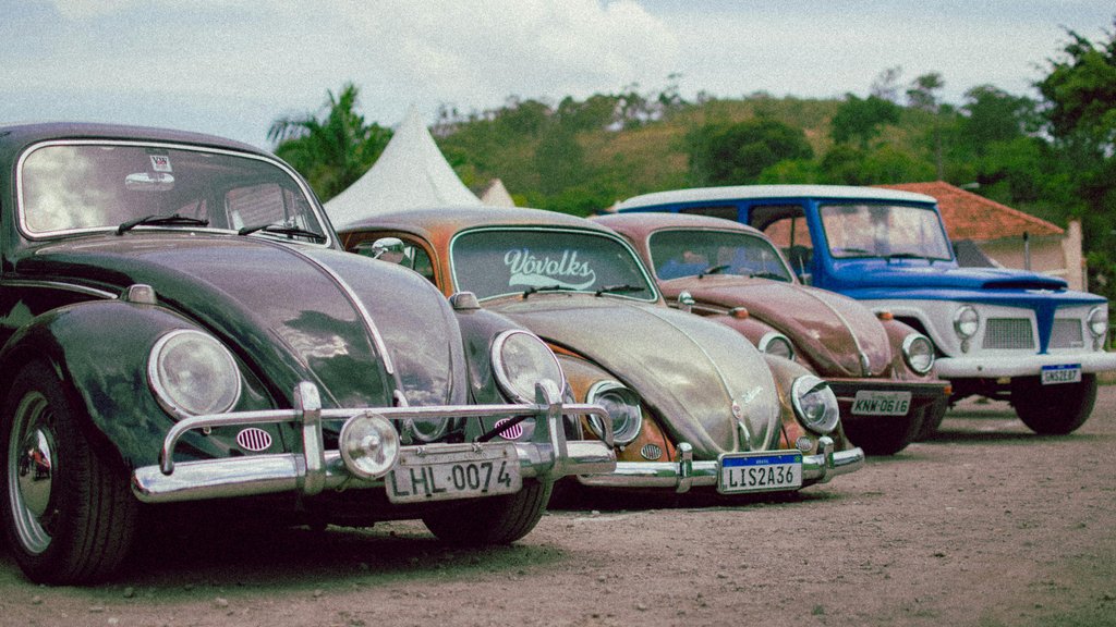 Photo by Edu Henrique on Pexels