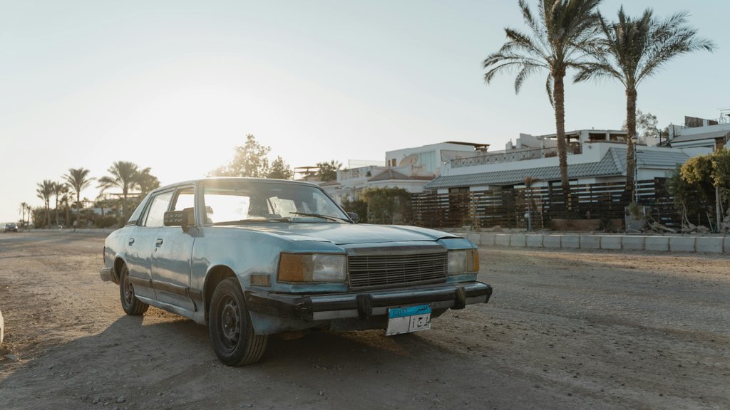 Photo by Tima Miroshnichenko on Pexels