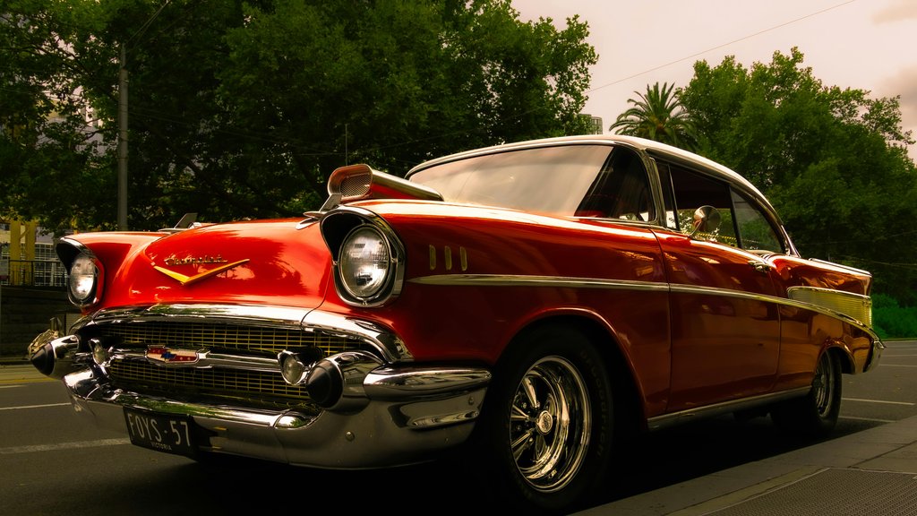 Photo by Murun. E on Pexels