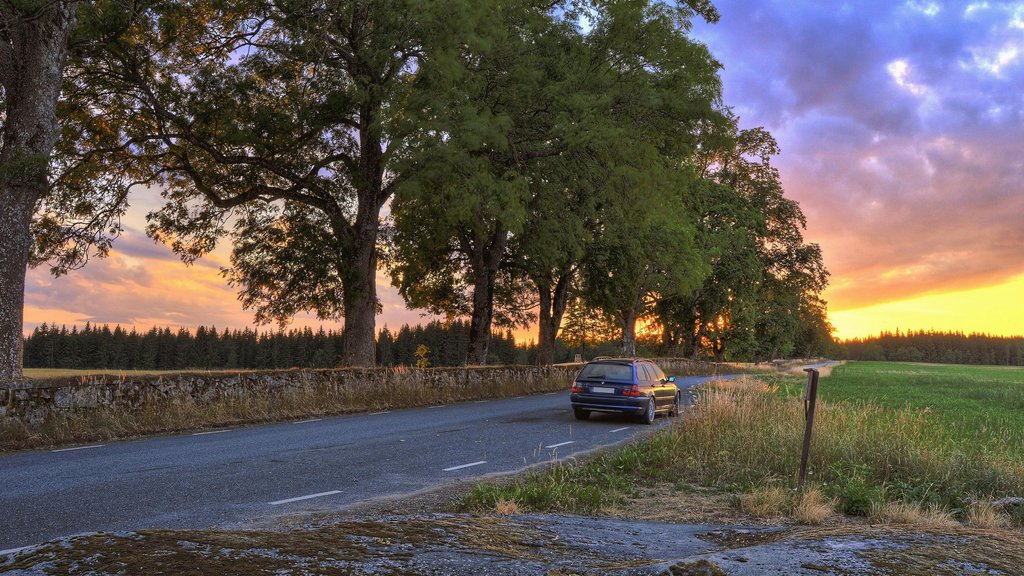 Photo by Jonathan Petersson on Pexels