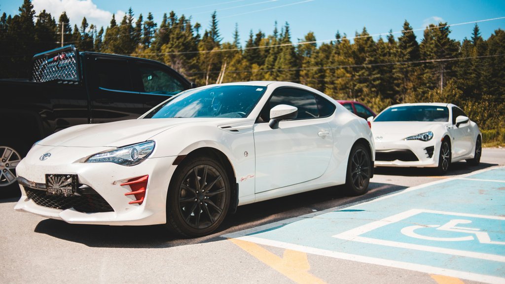 Photo by Erik Mclean on Pexels