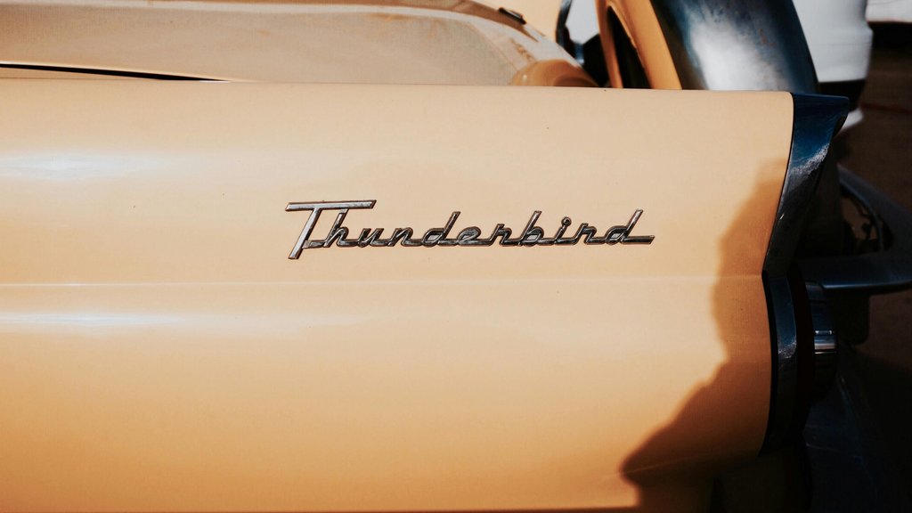 Photo by Berke  Can on Pexels