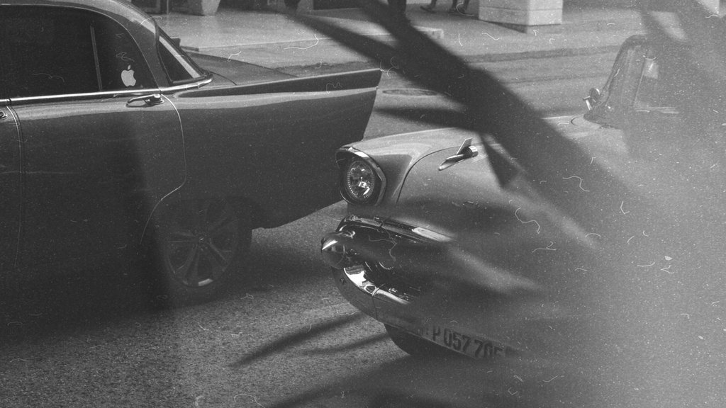 Photo by Pauline on Pexels