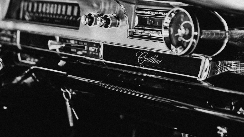 Photo by Pașca Daniel on Pexels