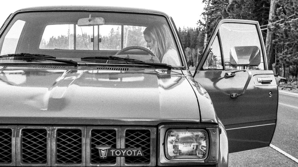 Photo by Ryland zweifel on Pexels