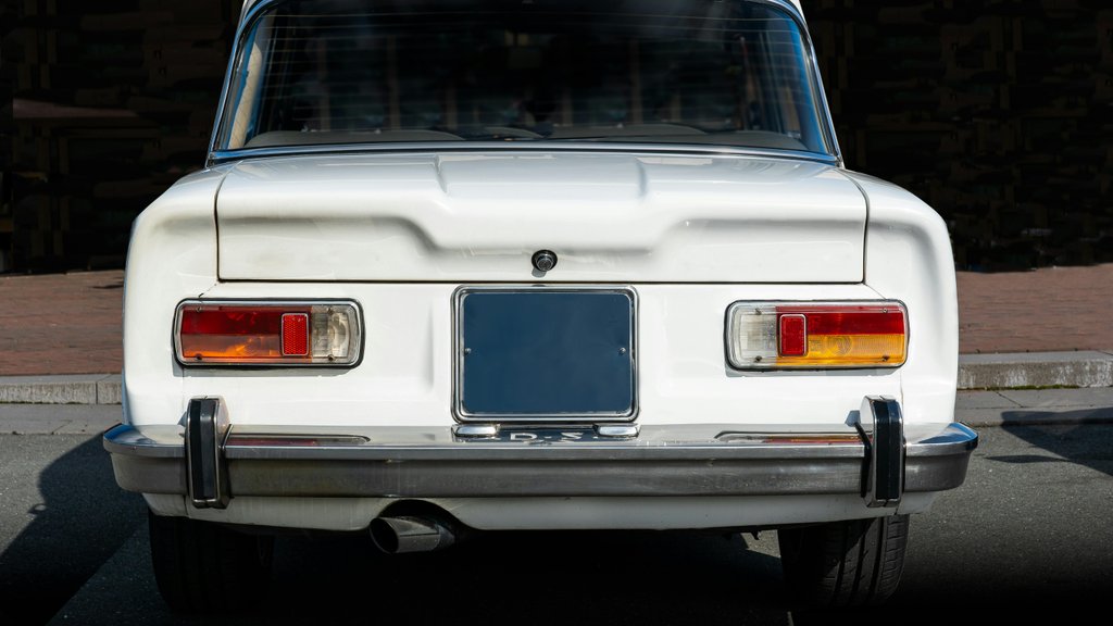 Photo by Mike van Schoonderwalt on Pexels