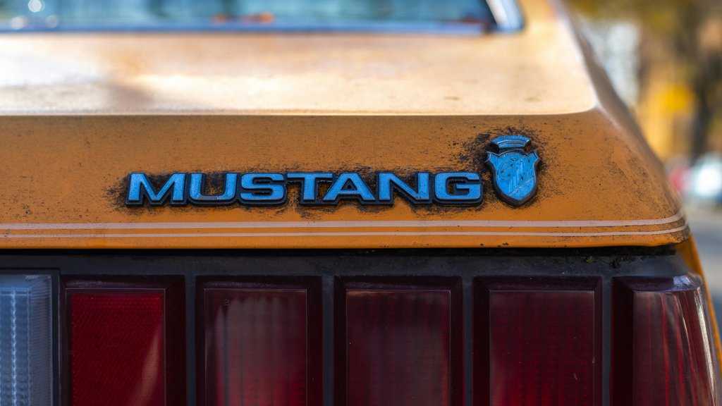 Photo by Brent Singleton on Pexels