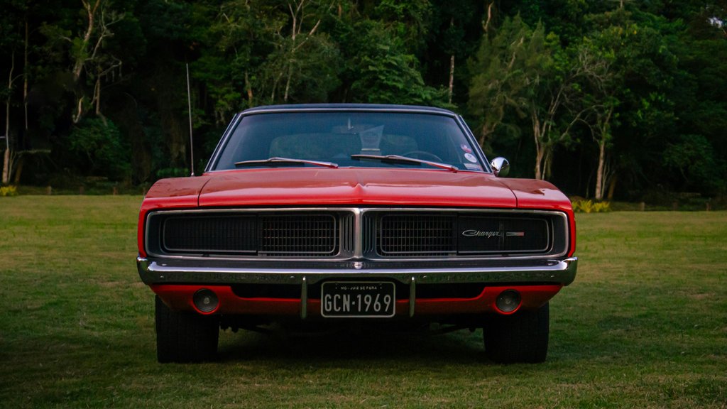 Photo by Edu Henrique on Pexels