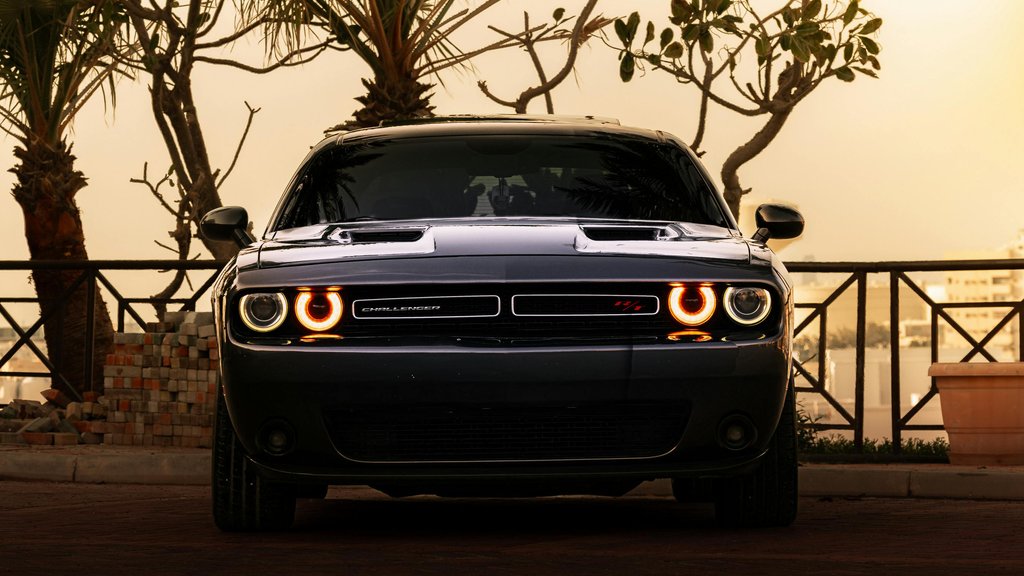 Photo by S square on Pexels