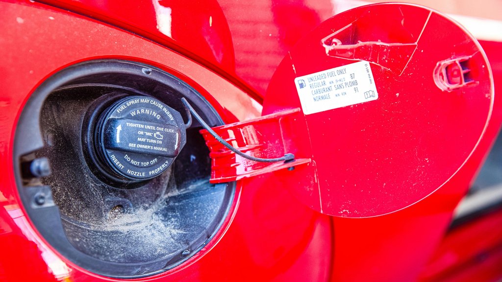 Photo by Ekaterina Belinskaya on Pexels