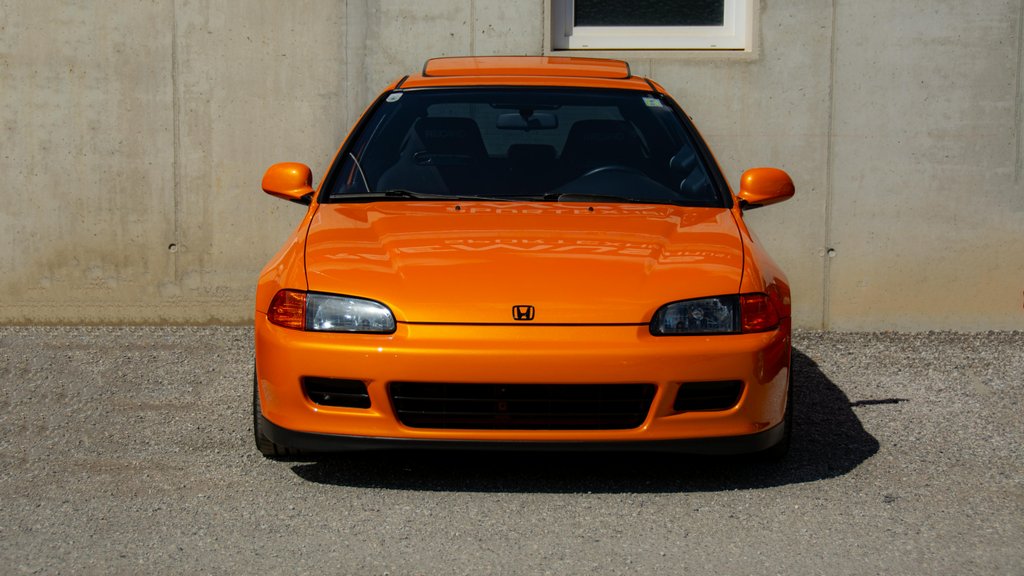 Photo by Niklas Puehringer on Pexels