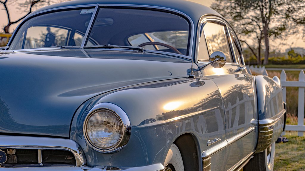 Photo by Shantum Singh on Pexels