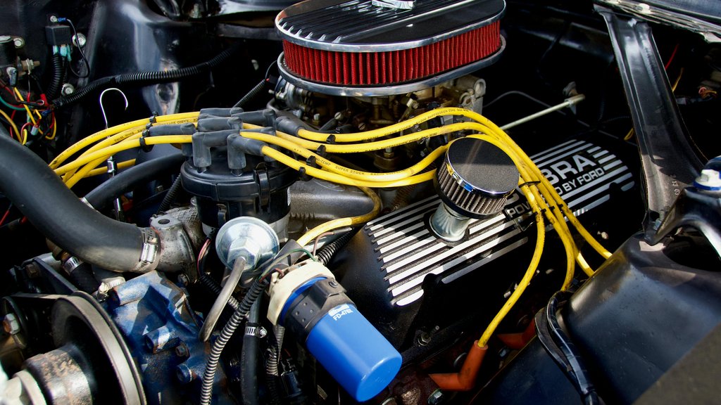 Photo by Tom Kowalsky on Pexels