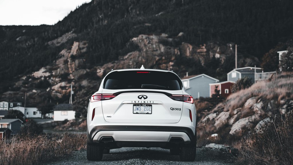 Photo by Erik Mclean on Pexels