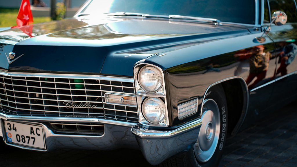 Photo by fotovegraf on Pexels