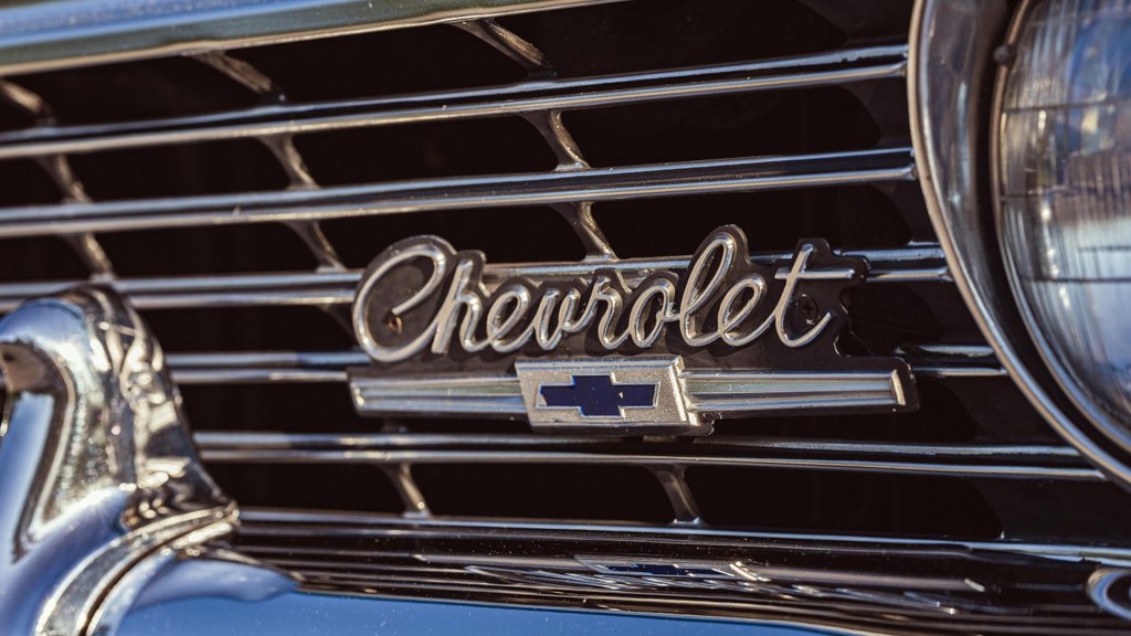 Photo by AP Vibes on Pexels