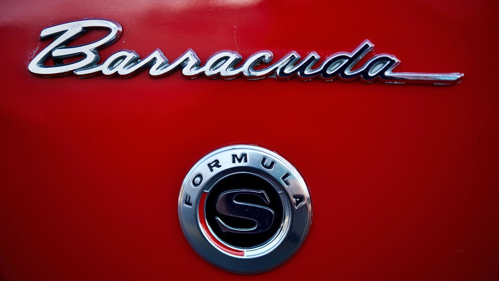 Photo by Tom Kowalsky on Pexels