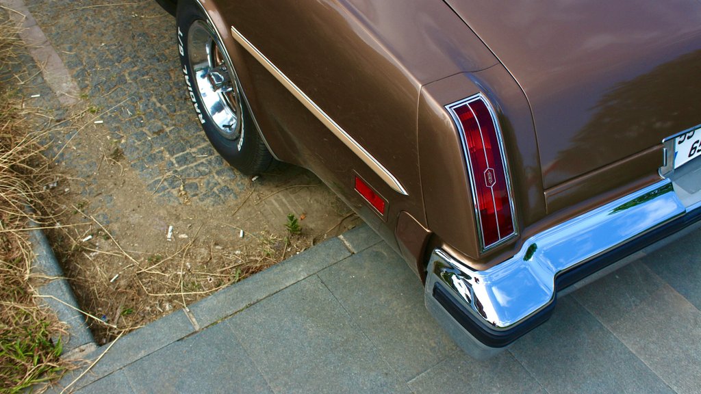 Photo by Ahsen on Pexels