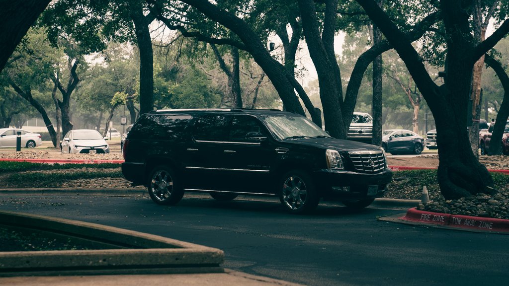 Photo by Erik Mclean on Pexels