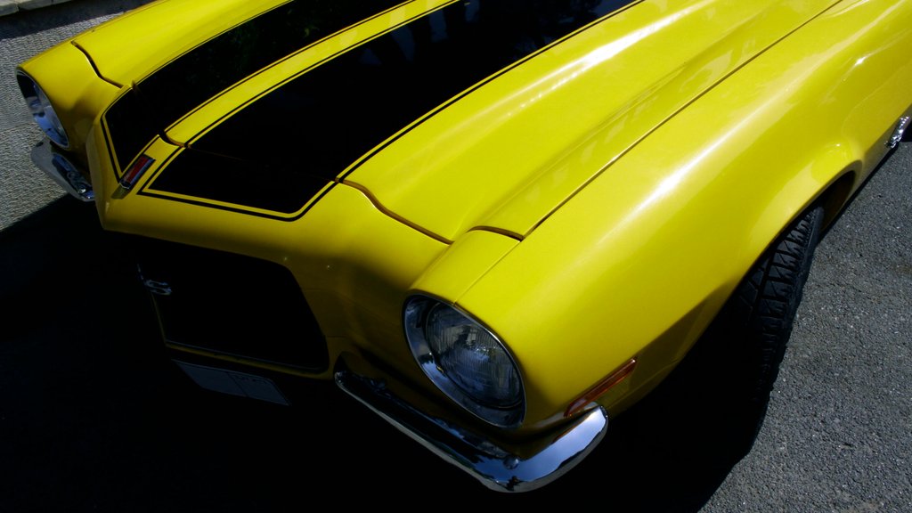 Photo by Milad Maddah on Pexels