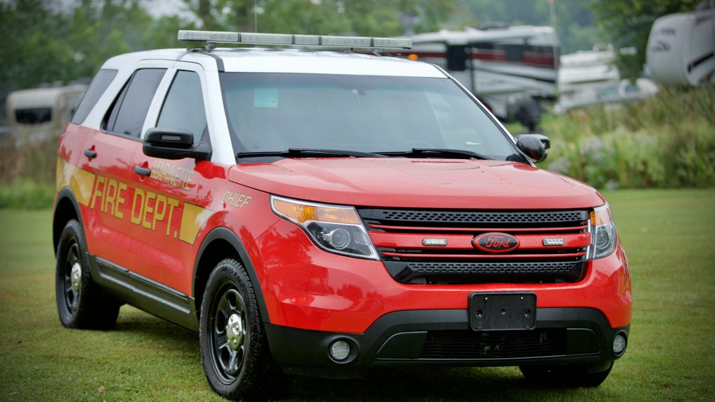 Photo by Alexander  Hamilton on Pexels