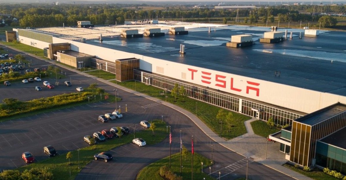 by Alexandra Tsygankova