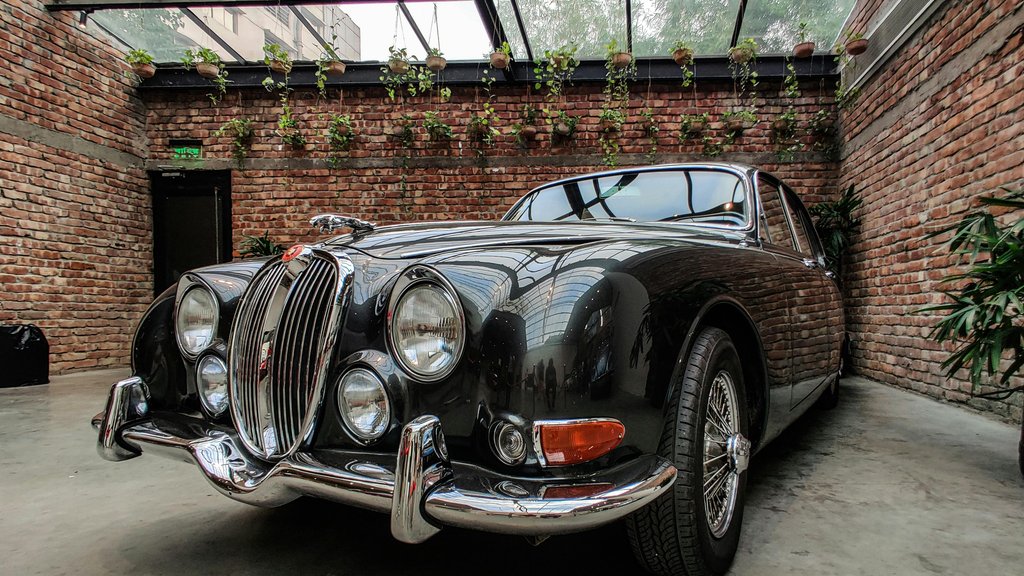 Photo by Julian Fernandez on Pexels