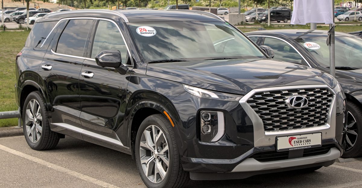 Hyundai Palisade in B blingen