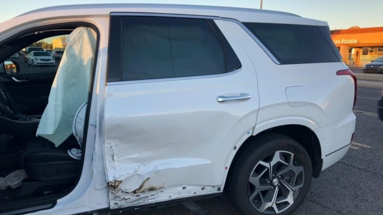 Hyundai Knew About Deadly Palisade Seat Defect in November Before 2-Year-Old Was Crushed