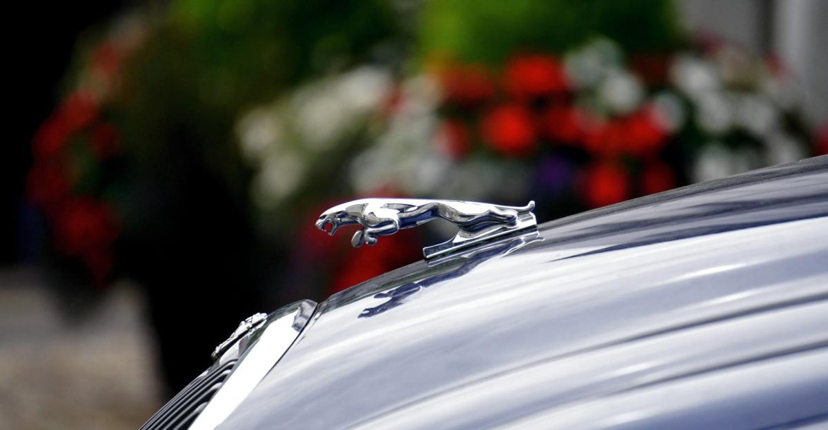 Detailed shot of a Jaguar hood ornament on a classic car in Thaxted England