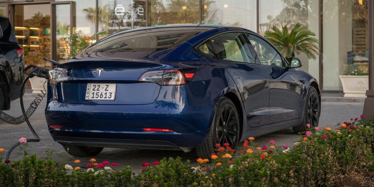 Blue Tesla Model 3 charging at a station surrounded by flowers in a sunny setting.