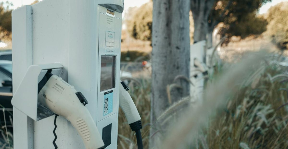 Electric vehicle charging station in an outdoor natural setting highlighting sustainable technology