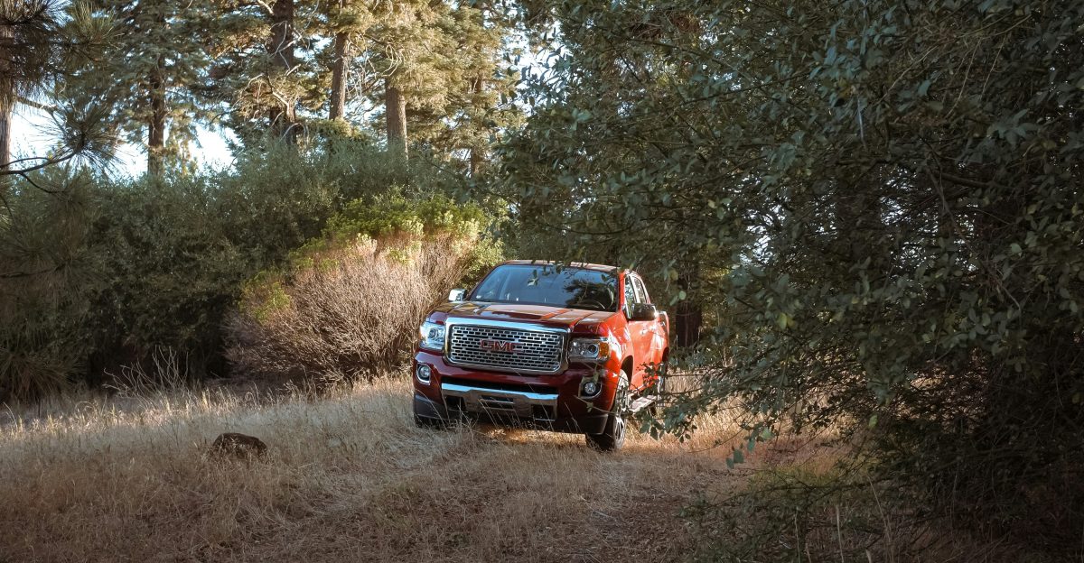 red pickup truck passing by a road in the forest