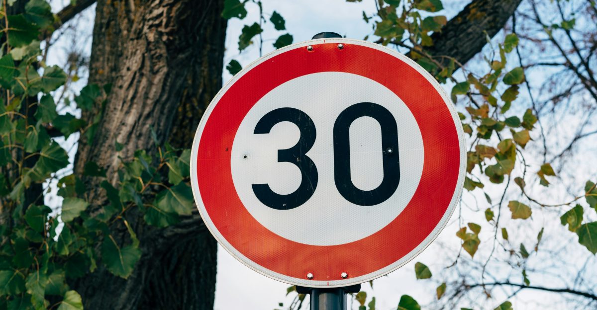 a red and white speed limit sign next to a tree
