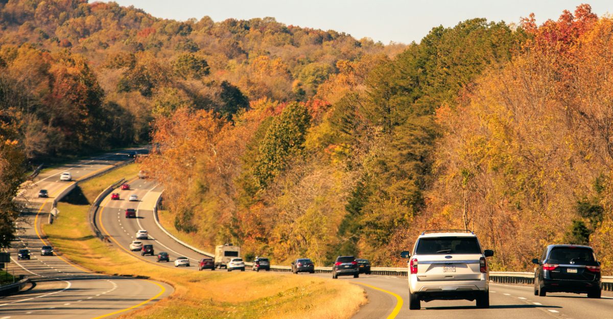 a group of cars driving down a road next to a forest