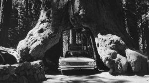 The Unkillable Car Legend is Dying: Why This Car Giant Has Sold its Iconic Headquarters.