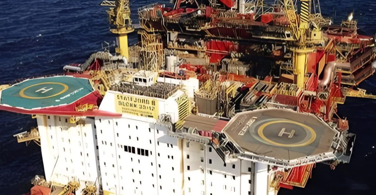 by Cosmic Forest Studio