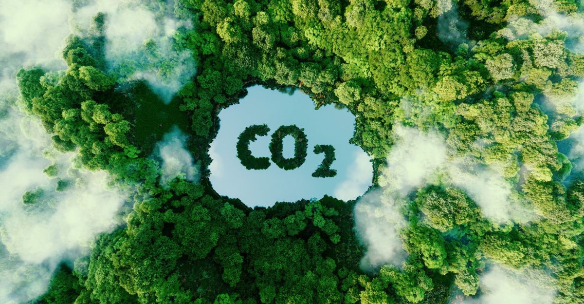 Some points to ponder that end the climate emergency 1 CO2 is beneficial A warmer world with more CO2 is better for man My interest in getting net emissions to zero is to simply drive home my point that it is not CO2 and it s a phony climate war If there were net zero emissions the by