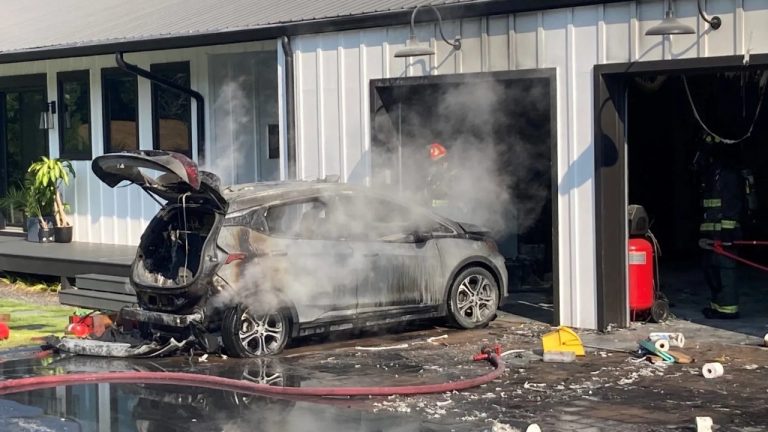 Nissan Grounds 51 Brand-New Leafs After ‘Torn’ Battery Cells Ignite In Dealer Parking Lots