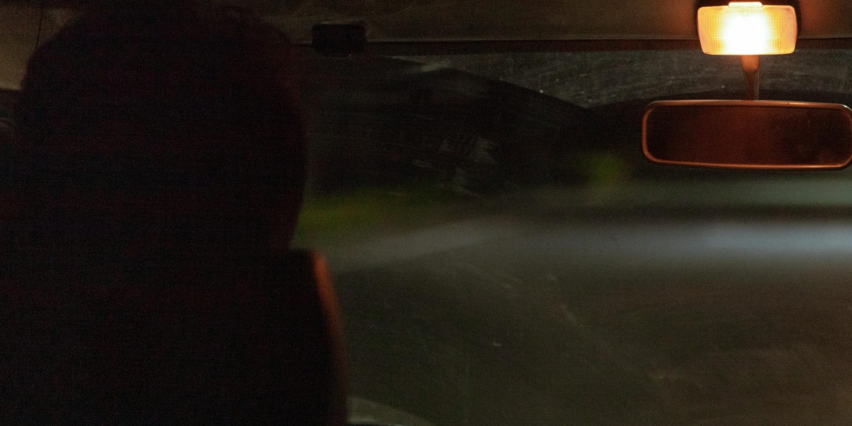 View of a car interior with a glowing dome light during nighttime driving.
